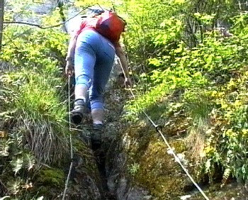 zajištěná cesta