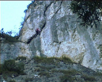 převis D