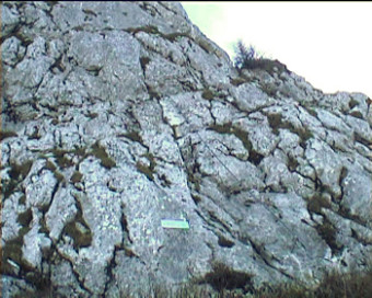 Nástup